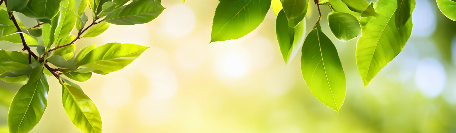 The universe is always there to help