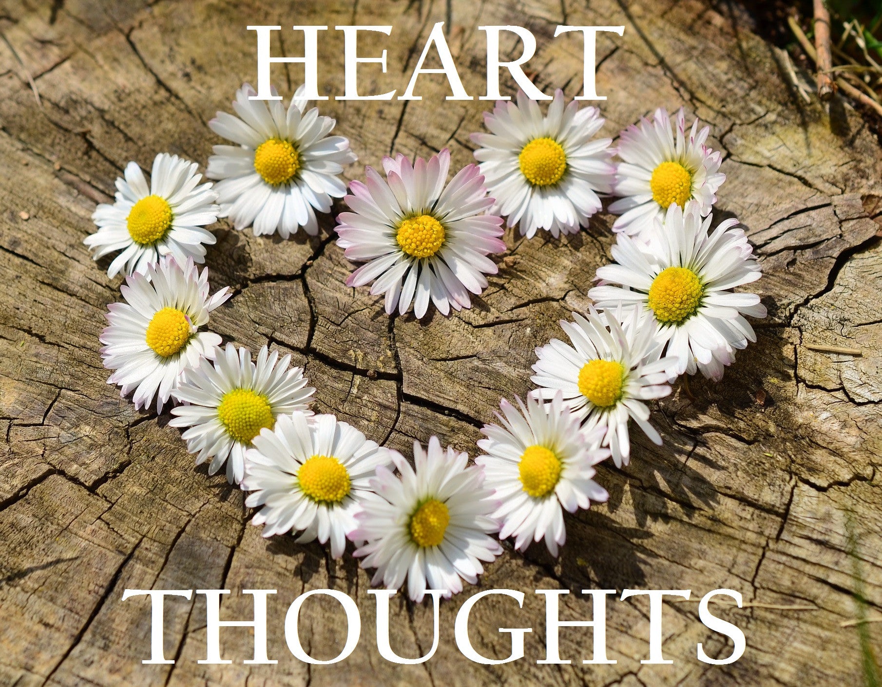 Introducing Heart Thoughts