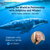 February 16th, 2024 - Friday 6-7:30 PM - Healing the World in Partnership with Dolphins and Whales - with Anne Gordon - Online